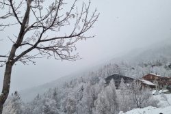 DIMANCHE 10 MARS LA NORMA