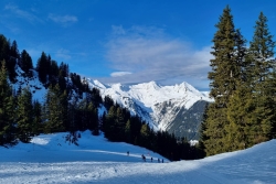 DIMANCHE 5 JANVIER 25 - ARÊCHES BEAUFORT