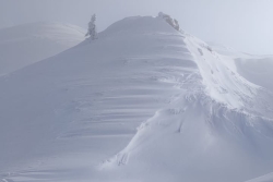 DIMANCHE 12 JANVIER 25 - LES CONTAMINES