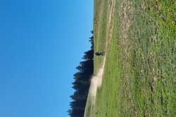 SORTIE ESTIVALE - TROTINETTE ET PIQUE NIQUE AU SEMNOZ