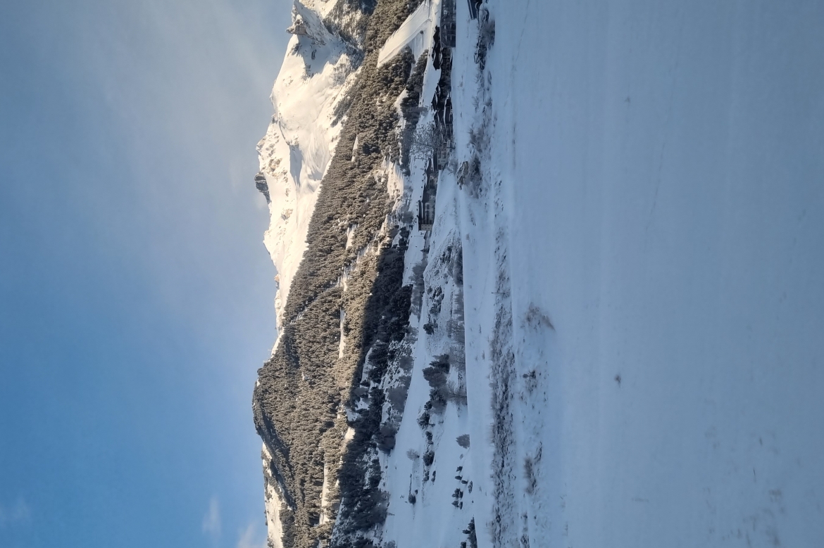 DIMANCHE 25 JANVIER - SORTIE SURPRISE