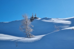 DIMANCHE 26 JANVIER 25 - LES 7 LAUX