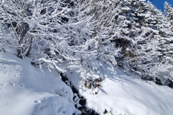 DIMANCHE 26 JANVIER 25 - LES 7 LAUX